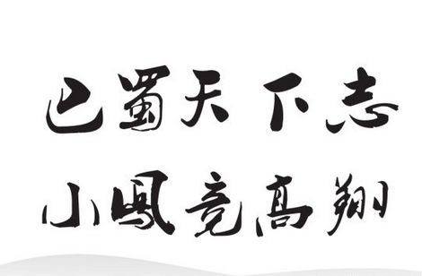 巴蜀天下志，小凤竞高翔——四川省达州市通川八小校园文化品牌打造记