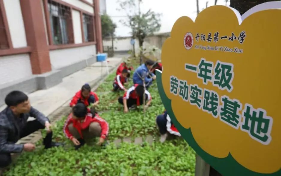 ,开阳县第一小学,劳动实践基地